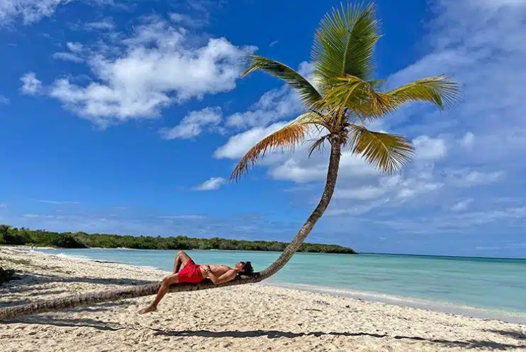 Imagen de Isla Catalina